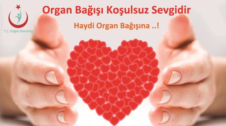 Organ Bağışı Yeni Bir Hayattır, Haydi Organ Bağışına.